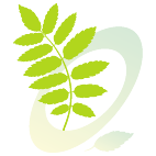 Logo 455: Layouts mit diesem Logo zeigen